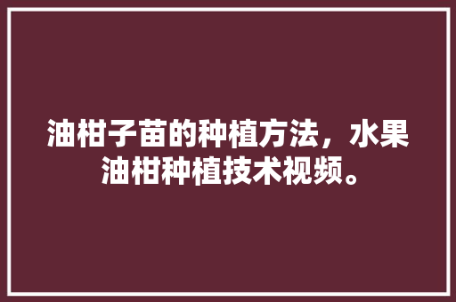 油柑子苗的种植方法，水果油柑种植技术视频。