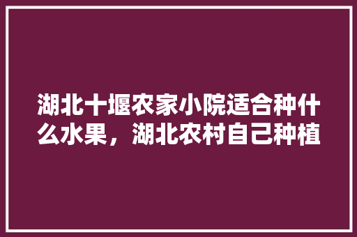 湖北十堰农家小院适合种什么水果，湖北农村自己种植水果有补贴吗。