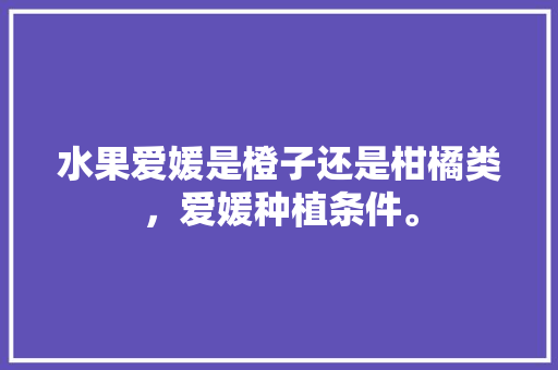 水果爱媛是橙子还是柑橘类，爱媛种植条件。