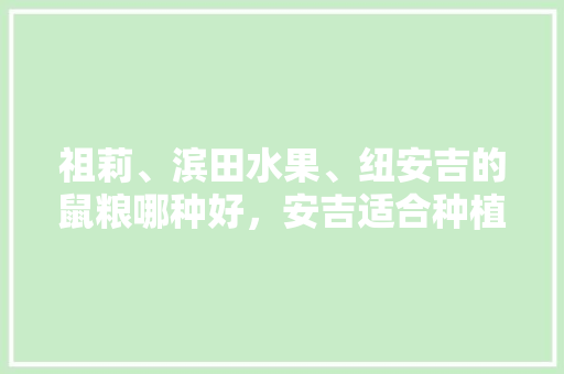 祖莉、滨田水果、纽安吉的鼠粮哪种好，安吉适合种植哪些水果品种。