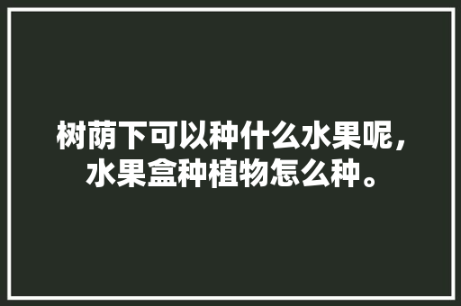 树荫下可以种什么水果呢，水果盒种植物怎么种。