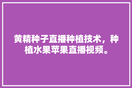 黄精种子直播种植技术，种植水果苹果直播视频。