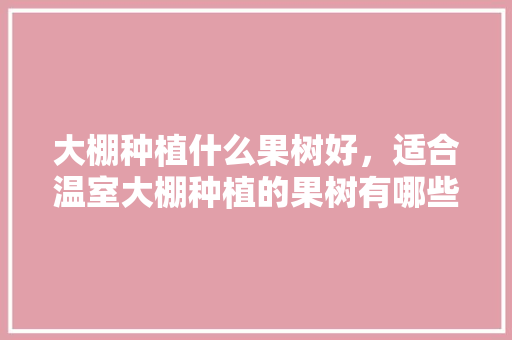 大棚种植什么果树好，适合温室大棚种植的果树有哪些，水果温室大棚种植技术。