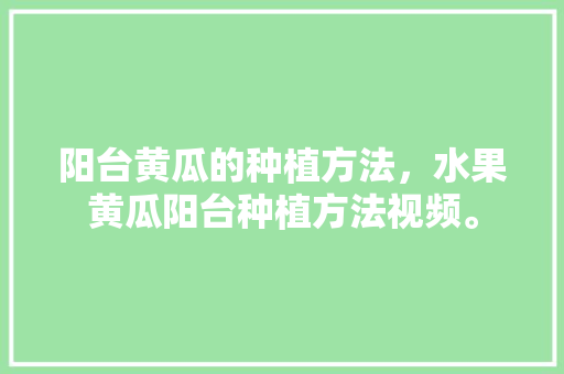 阳台黄瓜的种植方法，水果黄瓜阳台种植方法视频。