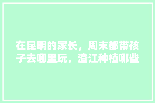 在昆明的家长，周末都带孩子去哪里玩，澄江种植哪些水果品种。