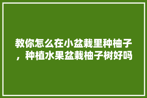 教你怎么在小盆栽里种柚子，种植水果盆栽柚子树好吗。