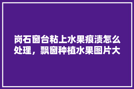 岗石窗台粘上水果痕渍怎么处理，飘窗种植水果图片大全。