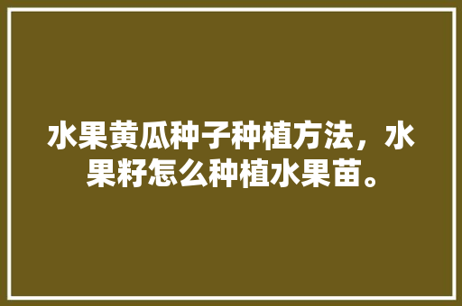 水果黄瓜种子种植方法，水果籽怎么种植水果苗。