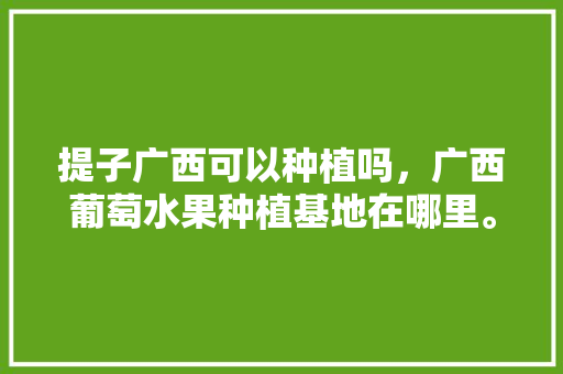 提子广西可以种植吗，广西葡萄水果种植基地在哪里。