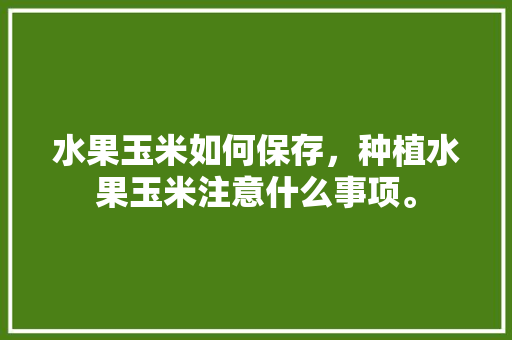 水果玉米如何保存，种植水果玉米注意什么事项。 水果玉米如何保存，种植水果玉米注意什么事项。 家禽养殖