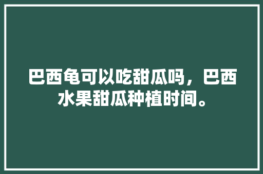 巴西龟可以吃甜瓜吗，巴西水果甜瓜种植时间。