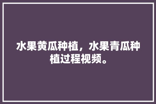 水果黄瓜种植，水果青瓜种植过程视频。