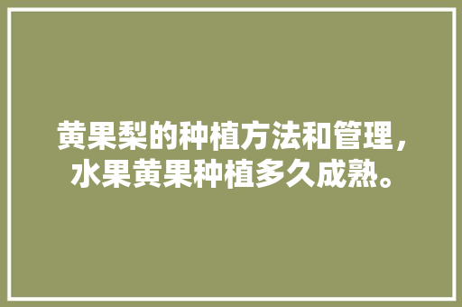 黄果梨的种植方法和管理，水果黄果种植多久成熟。