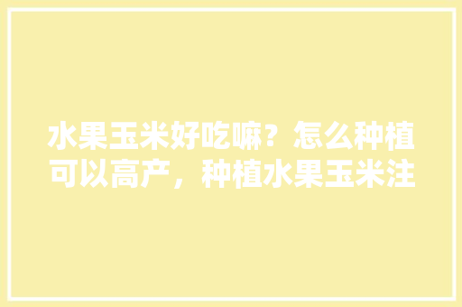 水果玉米好吃嘛？怎么种植可以高产，种植水果玉米注意什么事项。 水果玉米好吃嘛？怎么种植可以高产，种植水果玉米注意什么事项。 畜牧养殖