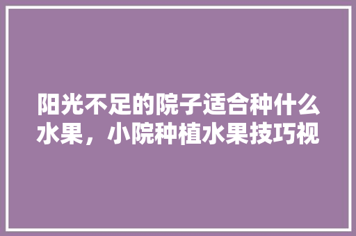 阳光不足的院子适合种什么水果，小院种植水果技巧视频。