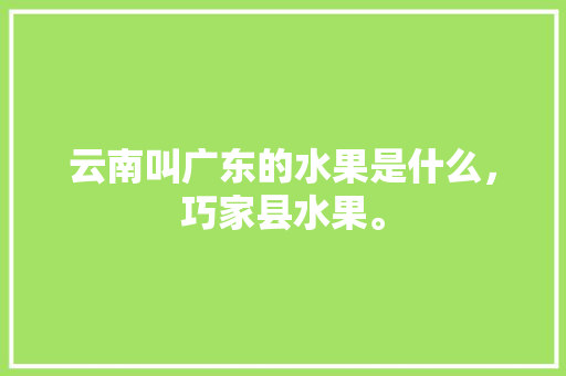 云南叫广东的水果是什么，巧家县水果。