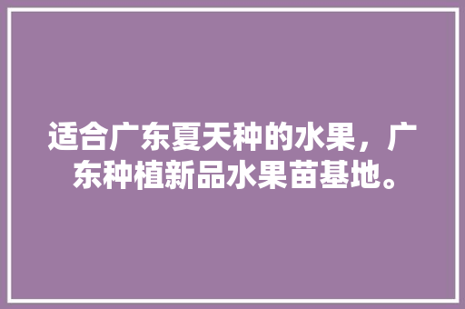 适合广东夏天种的水果，广东种植新品水果苗基地。