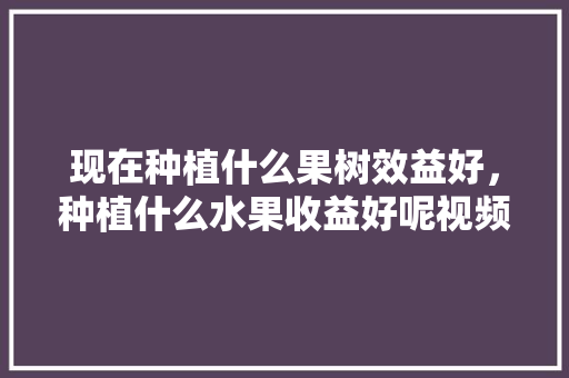 现在种植什么果树效益好，种植什么水果收益好呢视频。