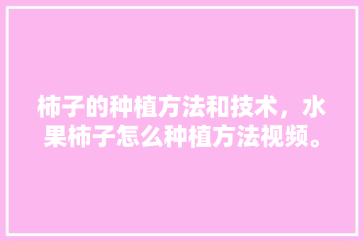 柿子的种植方法和技术，水果柿子怎么种植方法视频。