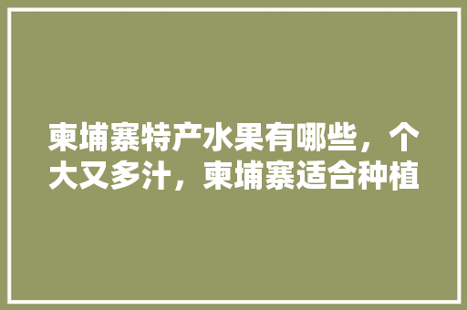 柬埔寨特产水果有哪些，个大又多汁，柬埔寨适合种植什么水果。