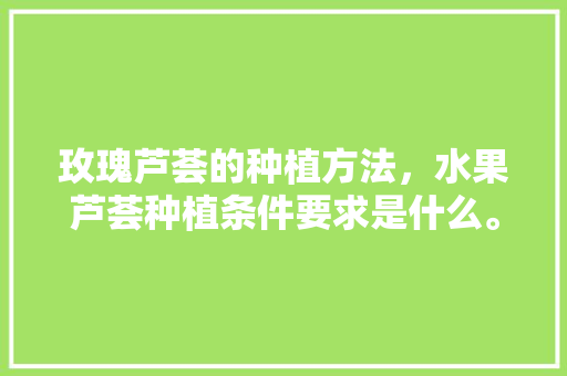 玫瑰芦荟的种植方法，水果芦荟种植条件要求是什么。 家禽养殖