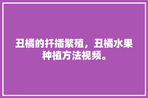 丑橘的扦插繁殖，丑橘水果种植方法视频。