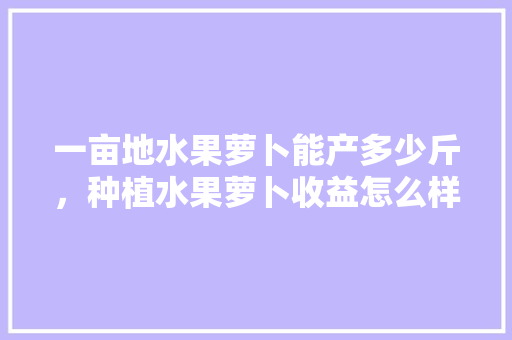 一亩地水果萝卜能产多少斤，种植水果萝卜收益怎么样。