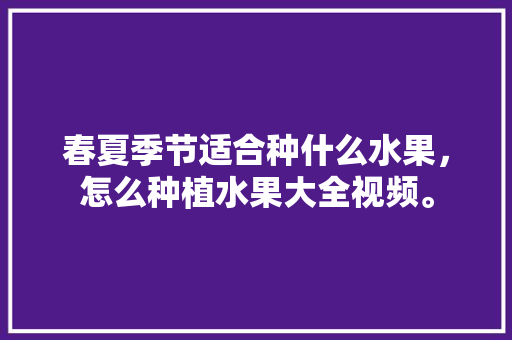 春夏季节适合种什么水果，怎么种植水果大全视频。