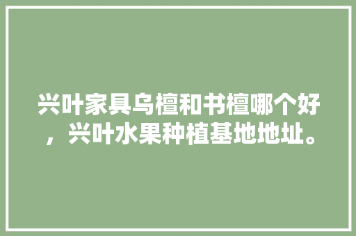 兴叶家具乌檀和书檀哪个好，兴叶水果种植基地地址。