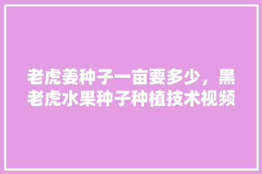 老虎姜种子一亩要多少，黑老虎水果种子种植技术视频。