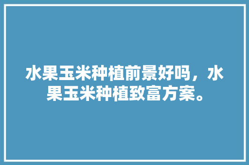 水果玉米种植前景好吗，水果玉米种植致富方案。