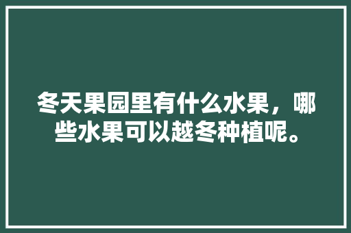 冬天果园里有什么水果，哪些水果可以越冬种植呢。