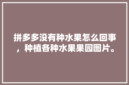 拼多多没有种水果怎么回事，种植各种水果果园图片。