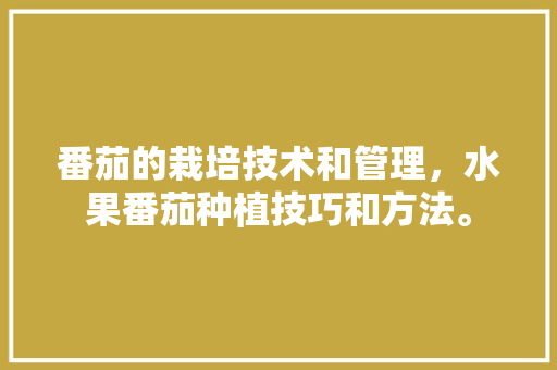 番茄的栽培技术和管理，水果番茄种植技巧和方法。