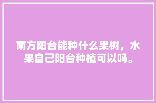 南方阳台能种什么果树，水果自己阳台种植可以吗。