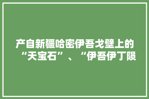 产自新疆哈密伊吾戈壁上的“天宝石”、“伊吾伊丁陨石”是不是真的陨石，新疆水果宝石种植基地在哪里。