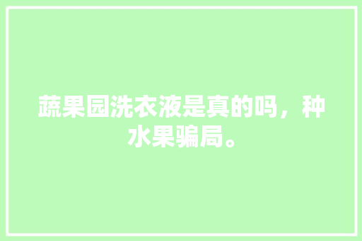 蔬果园洗衣液是真的吗，种水果骗局。