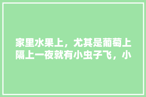 家里水果上，尤其是葡萄上隔上一夜就有小虫子飞，小虫子是怎么来的？怎么灭掉，葡萄水果的种植技术与管理。