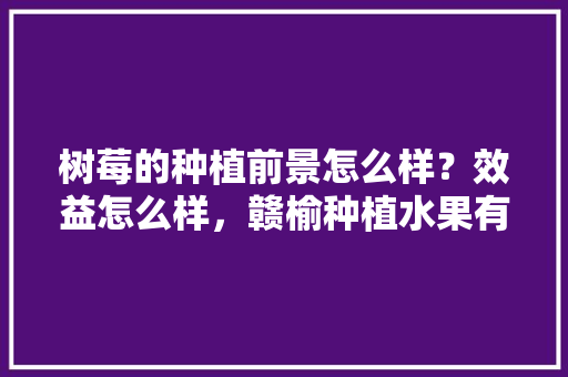 树莓的种植前景怎么样？效益怎么样，赣榆种植水果有哪些品种。 树莓的种植前景怎么样？效益怎么样，赣榆种植水果有哪些品种。 畜牧养殖