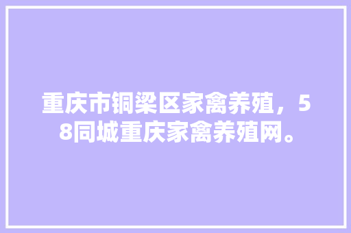 重庆市铜梁区家禽养殖，58同城重庆家禽养殖网。 重庆市铜梁区家禽养殖，58同城重庆家禽养殖网。 家禽养殖