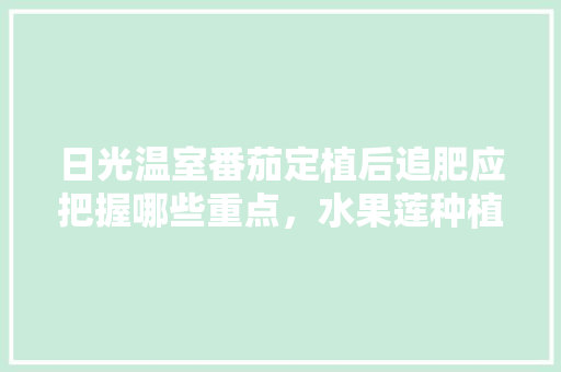 日光温室番茄定植后追肥应把握哪些重点，水果莲种植施肥视频教程。 日光温室番茄定植后追肥应把握哪些重点，水果莲种植施肥视频教程。 土壤施肥