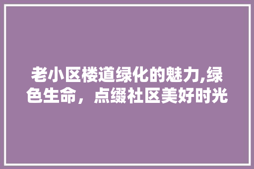 老小区楼道绿化的魅力,绿色生命，点缀社区美好时光