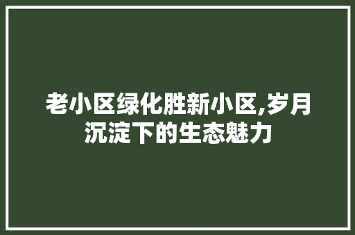 老小区绿化胜新小区,岁月沉淀下的生态魅力