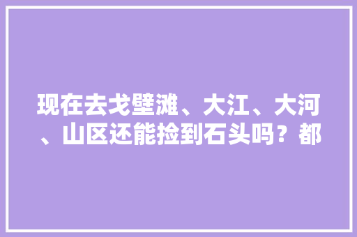 现在去戈壁滩、大江、大河、山区还能捡到石头吗？都需要带什么装备，戈壁滩适合种什么水果。 现在去戈壁滩、大江、大河、山区还能捡到石头吗？都需要带什么装备，戈壁滩适合种什么水果。 水果种植