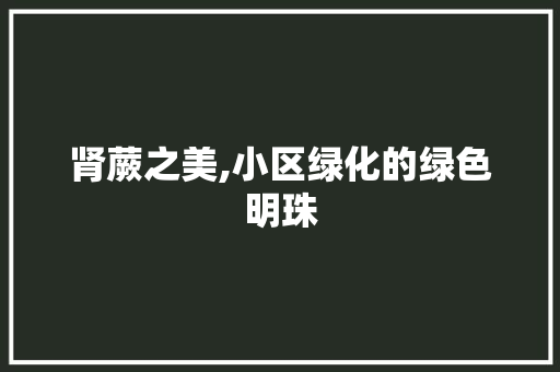 肾蕨之美,小区绿化的绿色明珠