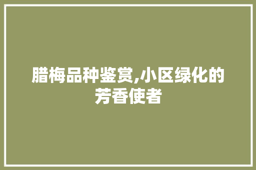 腊梅品种鉴赏,小区绿化的芳香使者