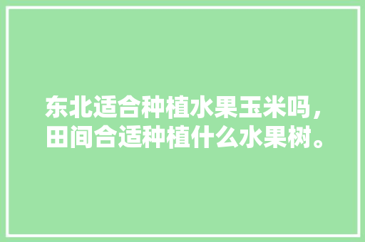 东北适合种植水果玉米吗，田间合适种植什么水果树。 东北适合种植水果玉米吗，田间合适种植什么水果树。 土壤施肥