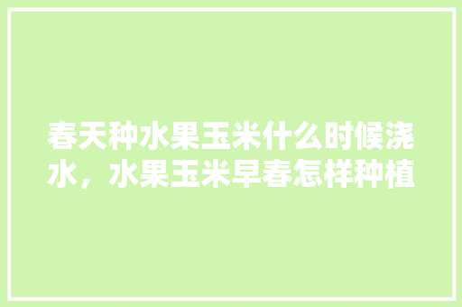 春天种水果玉米什么时候浇水，水果玉米早春怎样种植视频。 春天种水果玉米什么时候浇水，水果玉米早春怎样种植视频。 土壤施肥