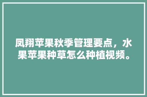 凤翔苹果秋季管理要点，水果苹果种草怎么种植视频。 凤翔苹果秋季管理要点，水果苹果种草怎么种植视频。 蔬菜种植