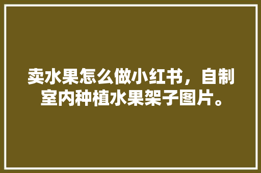 卖水果怎么做小红书，自制室内种植水果架子图片。 卖水果怎么做小红书，自制室内种植水果架子图片。 家禽养殖